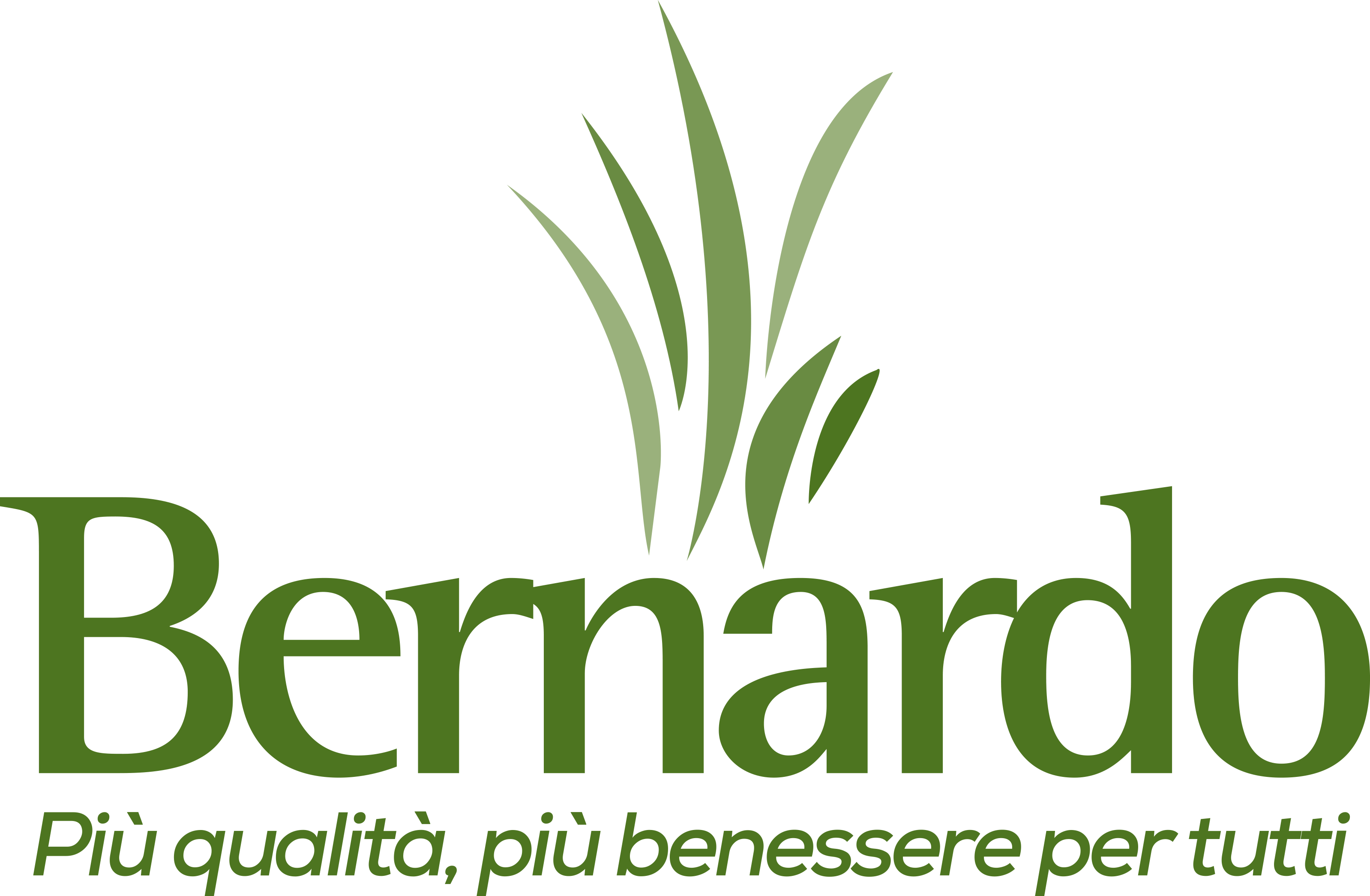 Gruppo Bernardo